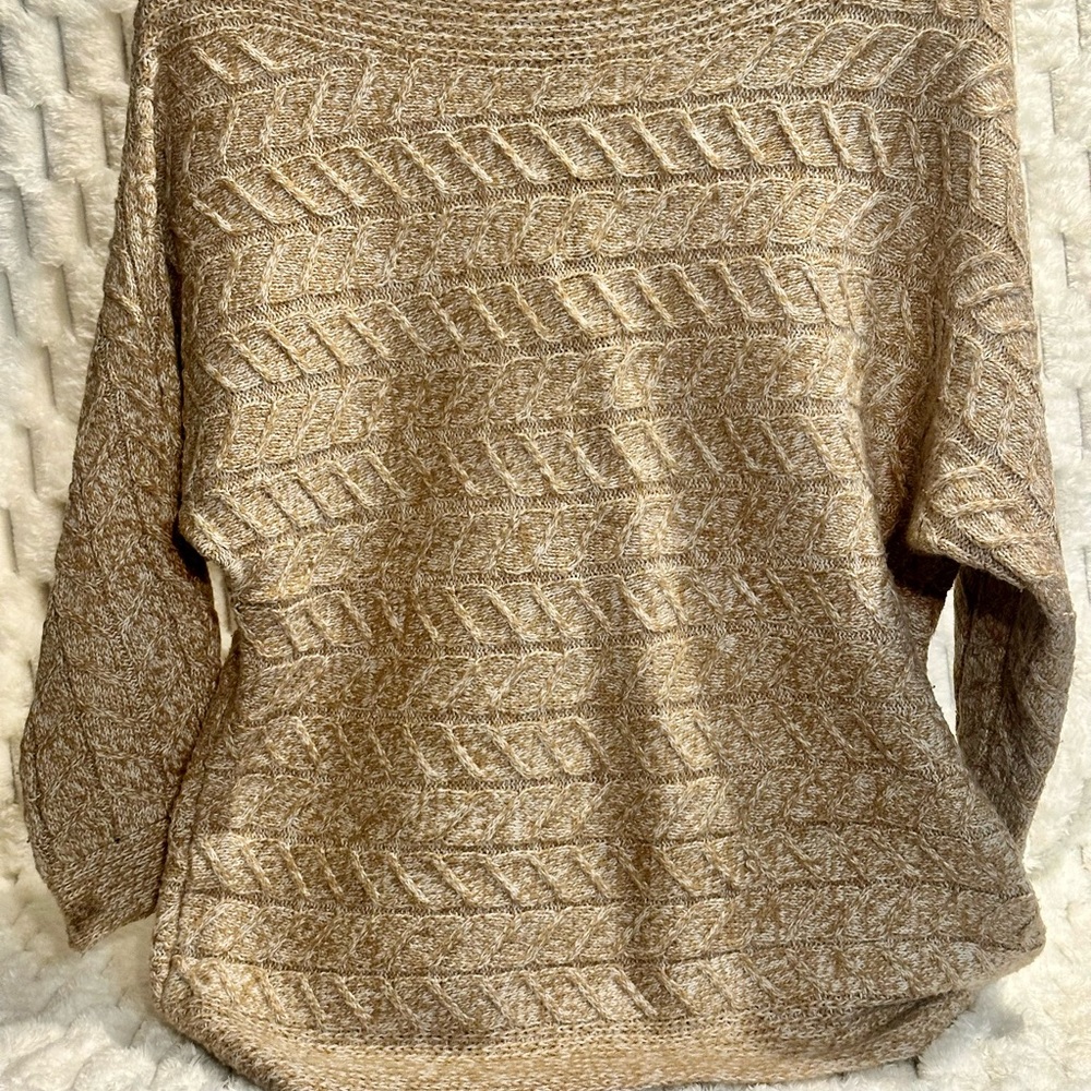 Women Textured Beige Sweater